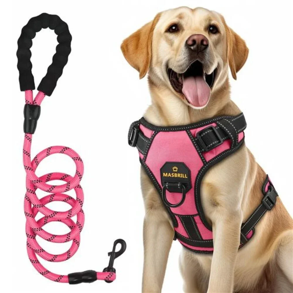 Dog Harness Leash Set, No Pull Vest Harness, Reflective Adjustable for Small Dog